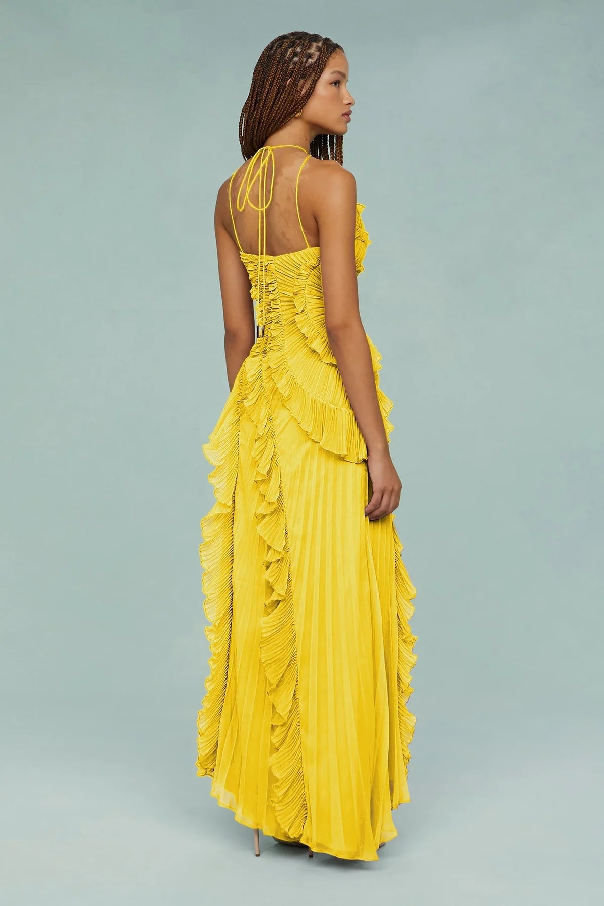 Amika Maxi Dress
