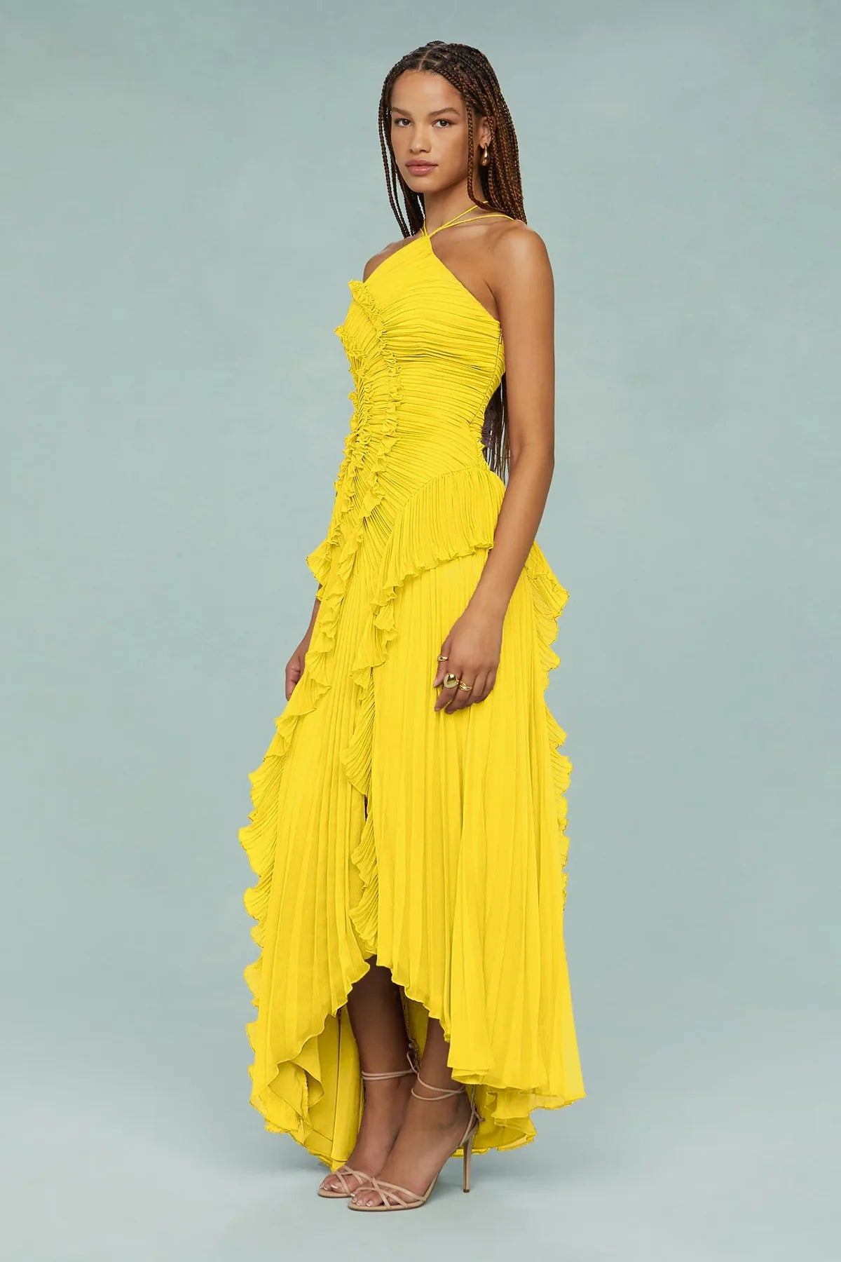 Amika Maxi Dress